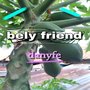 bely friend