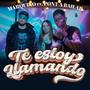 Te estoy llamando (feat. Pont A Bailar & Irina)