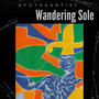 Wandering Sole