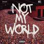 NOT MY WORLD (Explicit)