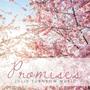 Promises (feat. Allie Gardner Policky, Julie Turnbow & Camilla Turnbow)