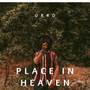 Place in Heaven