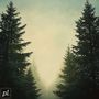 Pine Trees