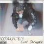 Lost struggle (Explicit)