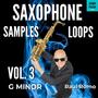 Saxophone Samples and Loops Vol 3. G minor