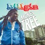 Money Tree