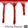 Dealing Damage (feat. TruluvXo) [Explicit]