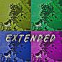 Love is. . . EXTENDED (Explicit)
