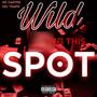 Wild In This Spot (Explicit)