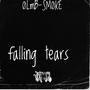 Falling Tears (Explicit)