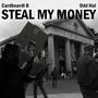 Steal My Money (Radio Edit)