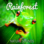 Rainforest with Nature Sounds - Free Your Mind & Relax Better, Ambient Natural Sounds for Sleep and