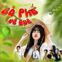 Bỏ Phố, Về Quê