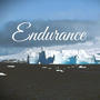 Endurance