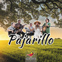 Pajarillo