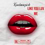 Like You Luv Me (Explicit)