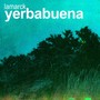 Yerbabuena