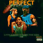 Perfect Picture (Explicit)