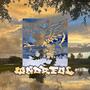 wndrful (feat. kurtains) [Explicit]