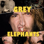 Grey Elephants