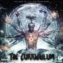 The Curriculum