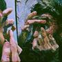 ODIO (Explicit)