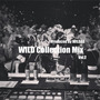 WILD Collection Mix Vol.2