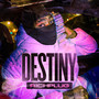 Destiny (Explicit)