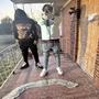I Aint Hidin (feat. Yung Nate) [Explicit]