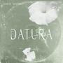 Datura