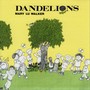 Dandelions