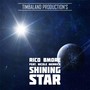 Shining Star (feat. Nicole Merrick)