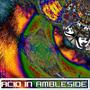 Acid In Ambleside (Explicit)