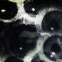 SoullessEyes (Explicit)
