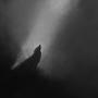 Loup (Explicit)
