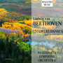 Beethoven: 12 Contredanses, Woo 14