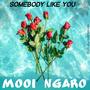 Somebody Like You