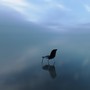 Calming Solitude