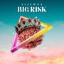 Big Risk