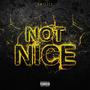 Not Nice (Explicit)