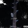 Love + Hate (Explicit)