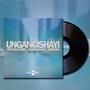 Ungangishayi (feat. Mfo Kah Zwide, Macingwane & Joshuwa)