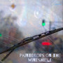 Paintdrops on the Windshield (Explicit)