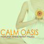 Calm Oasis - Songs for Mindfulness Meditation, Pranayama Exercises & Natural Stress Relief