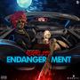 Reckless Endangerment (Explicit)