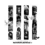 IceBirds Project 4 (Explicit)