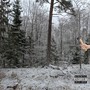 HAMMARE (Explicit)