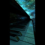 Starry Resonance~Last Dream~