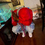 LEVEL UP (feat. SixTallyBandz & Dolo Dill) [Explicit]