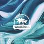 Palmtree (Sowlmate Remix)